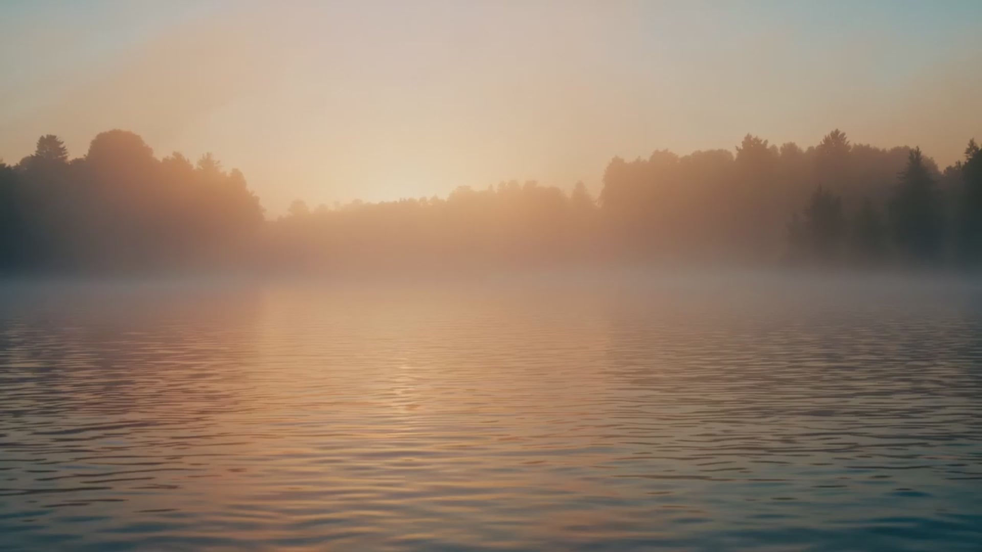 banner video